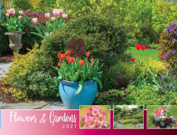 Flowers and Gardens Theme Template