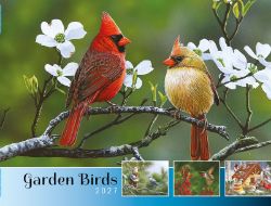 Garden Birds Theme Template