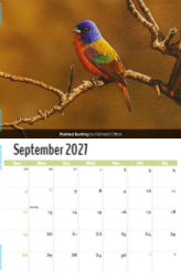 Garden Birds Theme Template