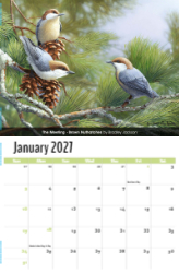Garden Birds Theme Template
