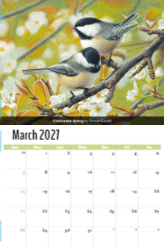 Garden Birds Theme Template