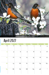Garden Birds Theme Template
