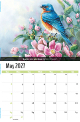 Garden Birds Theme Template