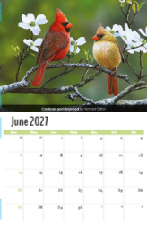 Garden Birds Theme Template