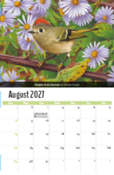Garden Birds Theme Template