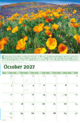 Go Green Theme Template