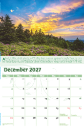 Go Green Theme Template