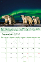 Go Green Theme Template