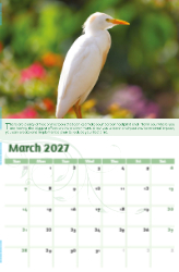 Go Green Theme Template