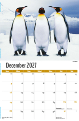 International Wildlife Theme Template