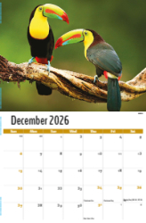International Wildlife Theme Template