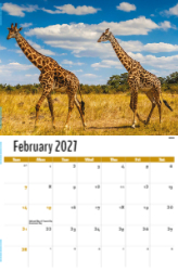 International Wildlife Theme Template