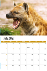 International Wildlife Theme Template