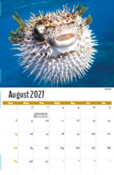 International Wildlife Theme Template