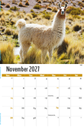 International Wildlife Theme Template