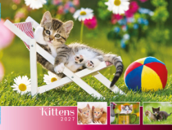 Kittens Theme Template