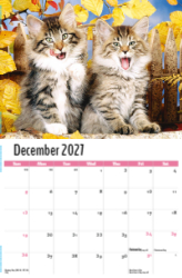Kittens Theme Template