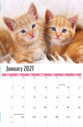 Kittens Theme Template