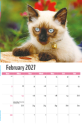 Kittens Theme Template