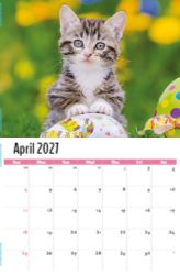 Kittens Theme Template