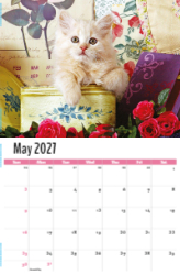 Kittens Theme Template