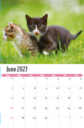 Kittens Theme Template