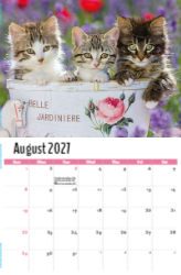 Kittens Theme Template