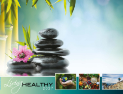 Living Healthy Theme Template