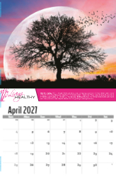 Living Healthy Theme Template