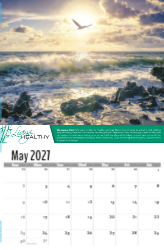 Living Healthy Theme Template
