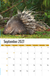 North American Wildlife Theme Template