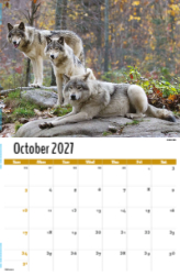 North American Wildlife Theme Template