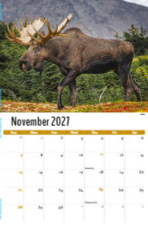 North American Wildlife Theme Template