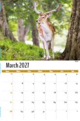 North American Wildlife Theme Template