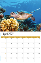 North American Wildlife Theme Template