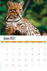 North American Wildlife Theme Template
