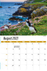 North American Wildlife Theme Template