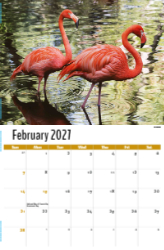 North American Wildlife Theme Template