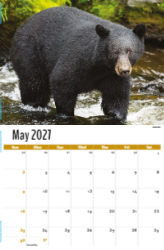 North American Wildlife Theme Template