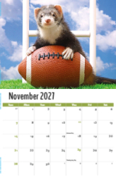 Pets Theme Template