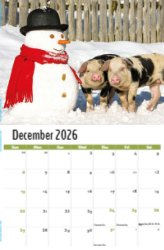 Pets Theme Template