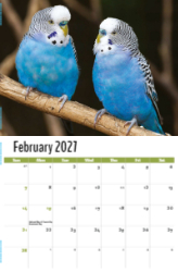 Pets Theme Template