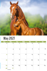 Pets Theme Template