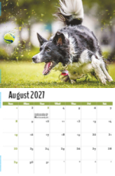 Pets Theme Template
