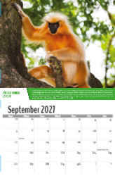 Planet Earth Theme Template