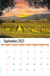 Scenes of California Theme Template