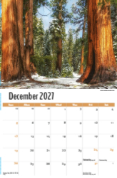 Scenes of California Theme Template