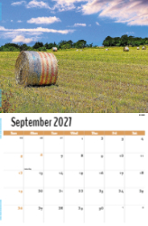 Scenes of Texas Theme Template