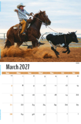 Scenes of Texas Theme Template