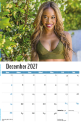 Swimsuits Theme Template
